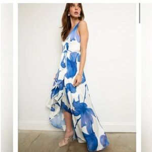 Georgie Blue and White Floral Maxi- New With Tags!